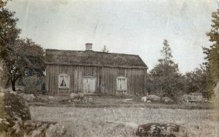 66